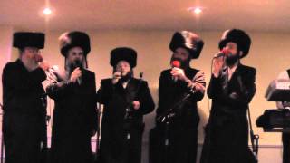 Neylender Brothers sing Tomid BChol Yom  אחים ניילנדר [upl. by Ahsekin]