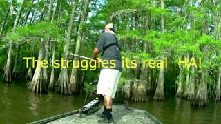 Bass fishing spring bayou with gators ft Wade [upl. by Theodore]