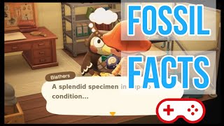 5 minutes of Funny Blathers Fossil Facts  Animal Crossing New Horizons [upl. by Bonnee]