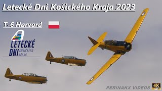 T6 Harvard 🇵🇱 ▲ Košice Airshow 2023 [upl. by Eirol263]