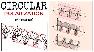 Circular Polarization  Circularly Polarized Electromagnetic Wave Animation [upl. by Kaliope]