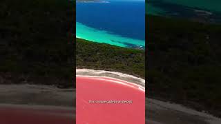 Pink Lake Australias Lake Hillier Unveiled pinklake australia [upl. by Ydnab]