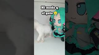 Miku perdio esto humor comedia memes [upl. by Cumings695]