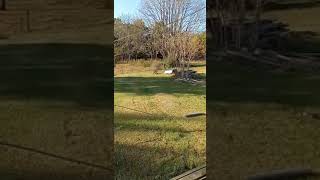 👀👀👀 💥HOMEMADE WALKLESS CLOTHESLINE PULLEY SYSTEM ON BACK PORCH 💥clothesline porches scrapwood [upl. by Dumm]