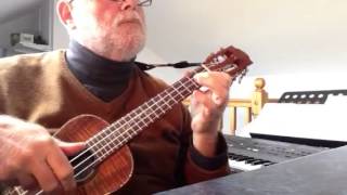 Tin Roof Blues  solo ukulele  Colin Tribe on LEHO [upl. by Attenauqa972]