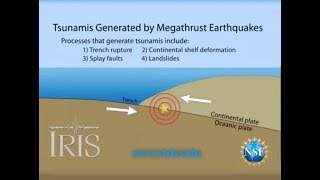 Tsunamis Generated by Megathrust Earthquakes [upl. by Ardella]