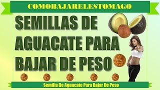 Semilla De Aguacate Para Adelgazarbeneficios y propiedades [upl. by Aicertap]