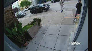 Mugging Near San Franciscos Dolores Park Caught On Camera [upl. by Siroled620]