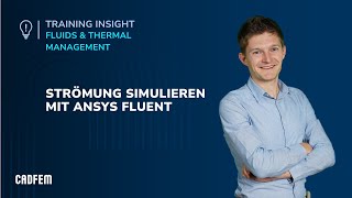 Training Insight Strömungssimulation mit Ansys Fluent  CADFEM [upl. by Aicital]