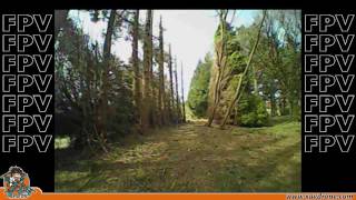 Blade Inductrix 200 FPV racing crash [upl. by Rydder]