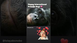 Learn more about Bonobos using the link here 💖 primateday bonobos readaloud audiobook [upl. by Stag811]