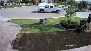 Organic Composted Manure on Lawn  Time Lapse  Central California  Amazing Results [upl. by Willie]