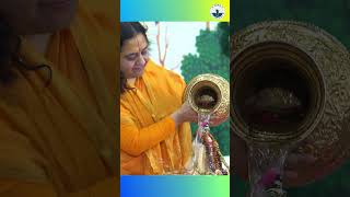 जब राधा रानी का हुआ आगमन raseshwarideviji radharani celebration festival [upl. by Schaab]