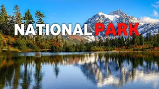 10 Most Beautiful National Park In The USA [upl. by Mendes667]