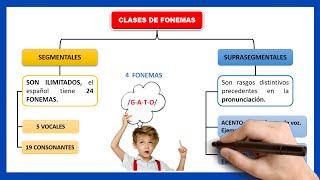 🧠¿QUÉ ES LA FONOLOGÍA  Que es un fonema y clases de fonemas [upl. by Eudosia]