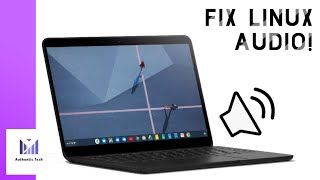 How to Fix Linux Audio Output on Chrome OS  Easy Tutorial [upl. by Bernardine]