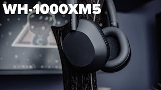 Sony WH1000XM5  Improvement but is it enough in 2022 [upl. by Leventhal]