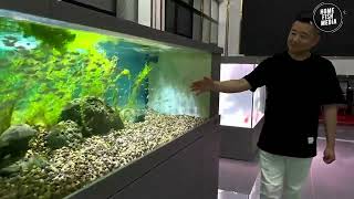 Stunning Underwater World Explore the Beauty of a Planted Aquarium 282 [upl. by Nicholl]