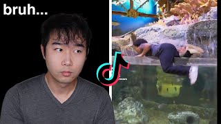 TikTok does it again  Fish Tank Review 221 [upl. by Mendelson395]