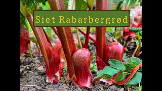 Rabarbergrød  siet som mormor lavede den [upl. by Refinnej]