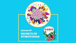 The Secrets of Synesthesia with Dr Joel Salinas Brain amp Life Podcast [upl. by Aurelie]