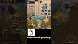 ✨Epic Mistpiercer 84 Having Fun 10 KOs Albion Online gaming bomb soloplayer economy crafting [upl. by Alyose]