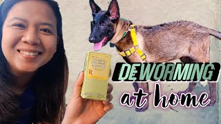 HOW TO USE PYRANTEL EMBONATE NEMATOCIDE TO DEWORM A DOG AT HOME  EASY DIY DOG DEWORMING PURGA [upl. by Oralee]