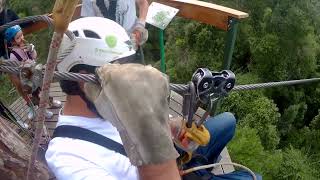 Tsitsikamma Canopy Tour livinglifetothefullest adventure southafrica [upl. by Llennehc]