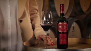 Montecillo Rioja Crianza Wine [upl. by Walley]