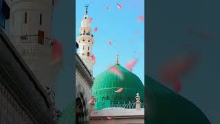 Woh Mera Nabi Hai naat rozaerasool gumbadkhizra islamicshorts viralshort islamicstatus [upl. by Nylrehc]