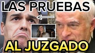 🔴PIDEN AL JUEZ PEINADO QUE CITE A DECLARAR A PEDRO SANCHEZ TRAS NEGACIÓN DE BEGOÑA GOMEZ EN JUZGADOS [upl. by Nawrocki896]