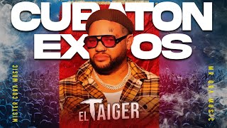 MIX Cubaton El Taiger Exitos [upl. by Colinson]