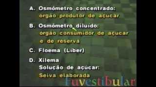 10 Tecidos Condutores Líber ou Floema  Biologia Vestibulando Digital [upl. by Anuat]