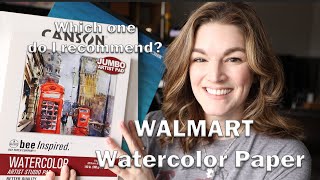 Testing WALMART Watercolor Papers Bee Paper  Grumbacher  Canson Graduate [upl. by Oreste]