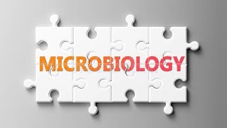 EnterococcusMicrobiologyPathologyMBBS [upl. by Cohbath]