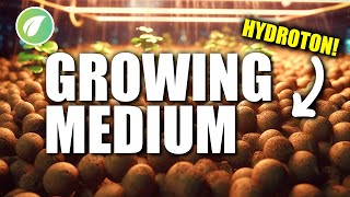 Mastering Hydroponics Choosing the Perfect Growing Medium [upl. by Nalla]