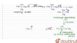 STATEMENT1 2Methyl2butene is the acid catalysed dehydration product of neopentyl alcohol a [upl. by Light910]