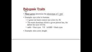 genetics video 5 Polygenic Traits and Linked genes [upl. by Ahseinat]