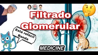 ¡TODO SOBRE FILTRADO GLOMERULAR [upl. by Ornas]