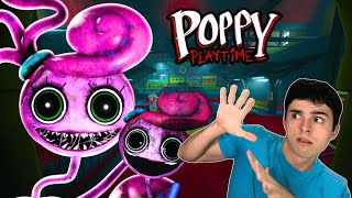 🔴 POPPY PLAY TIME 1 e 2 DUBLADO  BONECOS ASSSSINOS  games poppyplaytimechapter2 [upl. by Valerian264]