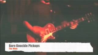 Bare Knuckle Pickups Official The Mule Humbucker Demo II Unpotted [upl. by Chuipek480]