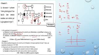 2Bac correction de lexamen national 2021 partie 2 شرح مبسط session rat SVT génétique humaine [upl. by Isawk17]