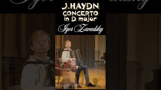 Haydn  Concerto in D major for piano and orchestra 23 Zavadsky Haydn accordion pianoconcerto [upl. by Reffinej236]