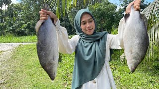 SIAKAP BAKAR BERSAMBAL MEWAH  Spicy grilled fish  Bertambah nasi [upl. by Esra]