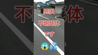 こんな所で【住宅街で】😳 閲覧注意なガビチョウのグロい白骨化死骸を発見❗❗🤯💦💦 [upl. by Olathe]