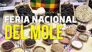 Disfruta la Feria Nacional del Mole en San Pedro Atocpan [upl. by Yonah887]