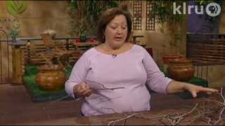 Trisha tackles twig girdlers Central Texas Gardener [upl. by Melinde]