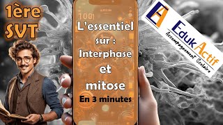 Lessentiel sur linterphase et la mitose en 3 minutes  Première spécialité SVT mitose svt [upl. by Ysabel]