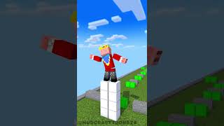 PLAYING CARGO SKATES RUN WITH Technoblade  Hadal Ahbek  funnyshorts fypシ minecraftshorts [upl. by Barbe47]