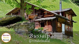 Wandern in der Schweiz  Bussalp  Grindelwald  Berner Oberland [upl. by Itnahsa]